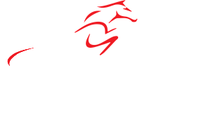 Handal Racing